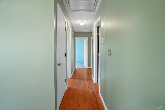 2294 High Peak Rd, Monroe, VA 24574 - corridor with light wood-style floors and attic access