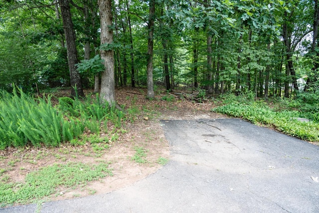 68 Cardwell Ln, Lynchburg, VA 24504 - view of street featuring a forest view