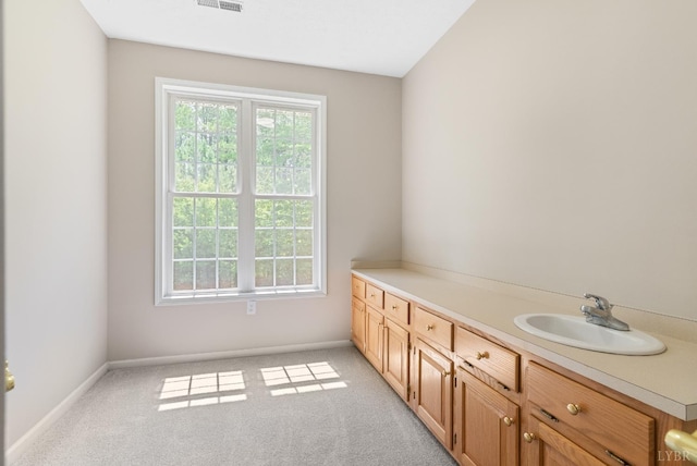 1505 Chestnut Grove Rd, Appomattox, VA 24522 - bathroom with baseboards and vanity