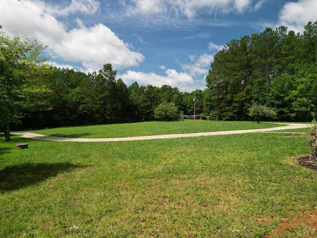 1505 Chestnut Grove Rd, Appomattox, VA 24522 - view of green lawn featuring a forest view