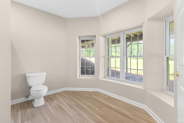1505 Chestnut Grove Rd, Appomattox, VA 24522 - half bath featuring toilet and wood finished floors