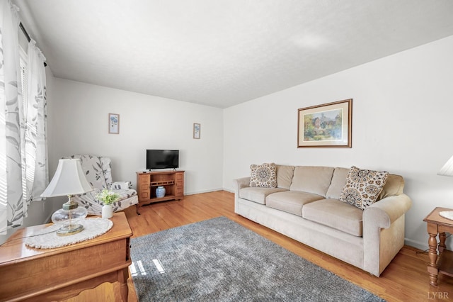 201 Windsor Rd, Lynchburg, VA 24502 - living room featuring wood finished floors
