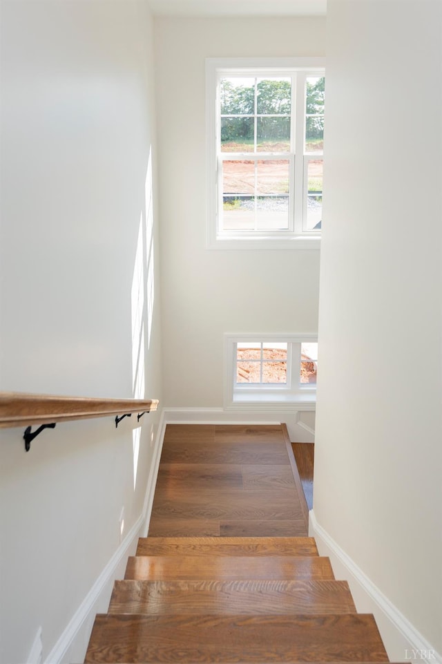 1100 Live Oak Ct, Forest, VA 24551 - photo 34