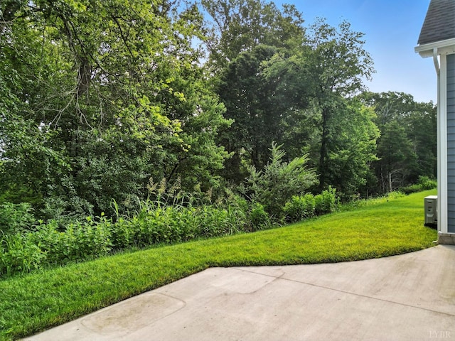 1126 Stoney Ridge Blvd, Forest, VA 24551 - photo 47