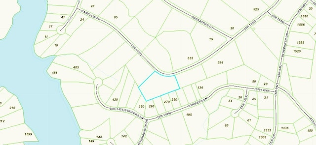 0 Camellia Pl, Moneta, VA 24121 - photo 29