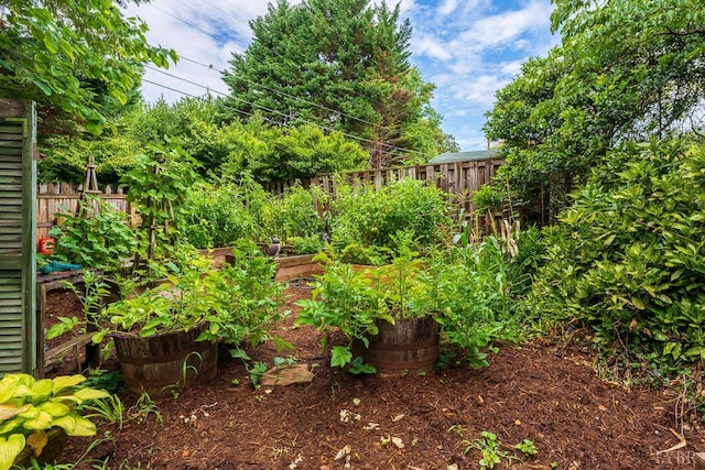 1517 Linden Ave, Lynchburg, VA 24503 - fenced backyard with a garden