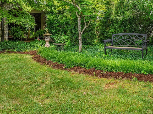 1517 Linden Ave, Lynchburg, VA 24503 - view of yard