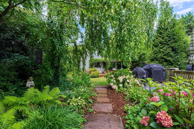 1517 Linden Ave, Lynchburg, VA 24503 - view of yard