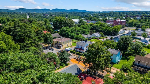 1216 Pierce St, Lynchburg, VA 24501 - photo 28