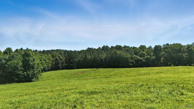 1433 Piney Mountain Rd, Appomattox, VA 24522 - view of grassy yard featuring a view of rural / pastoral area and a forest view