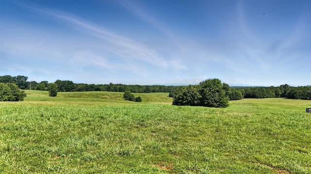 1433 Piney Mountain Rd, Appomattox, VA 24522 - view of local wilderness with rural landscape