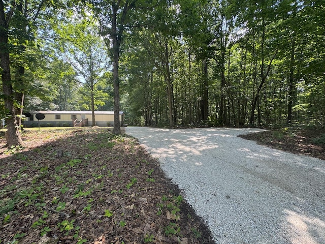 3687 Old Grist Mill Rd, Appomattox, VA 24522 - view of dirt / gravel driveway with a view of trees