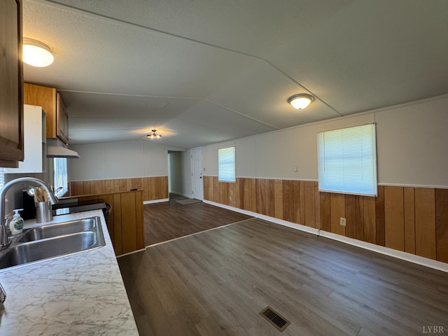 3687 Old Grist Mill Rd, Appomattox, VA 24522 - kitchen featuring dark wood-style floors, wooden walls, extractor fan, brown cabinetry, and plenty of natural light
