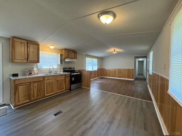 3687 Old Grist Mill Rd, Appomattox, VA 24522 - kitchen featuring stainless steel electric range oven, under cabinet range hood, dark wood finished floors, light countertops, and wooden walls