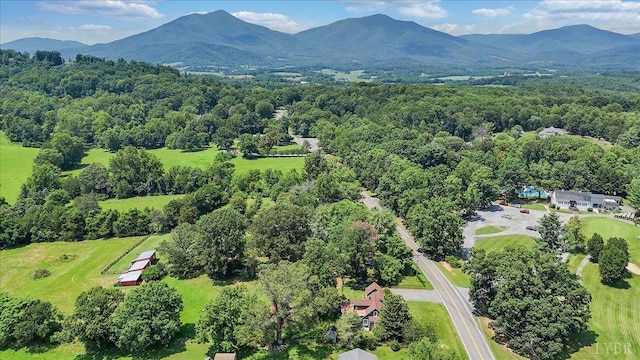 3562 Peaks, Bedford, VA 24523 - photo 30