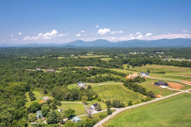 1023 Ferret Dr, Goode, VA 24556 - photo 6