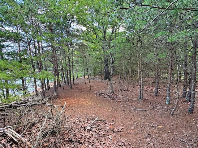 0 Island Pointe Dr, Gretna, VA 24557