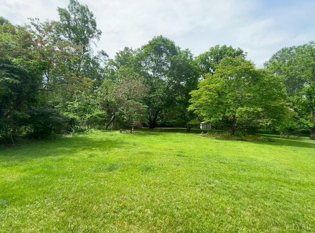 4317 Montgomery Rd, Lynchburg, VA 24503 - view of grassy yard