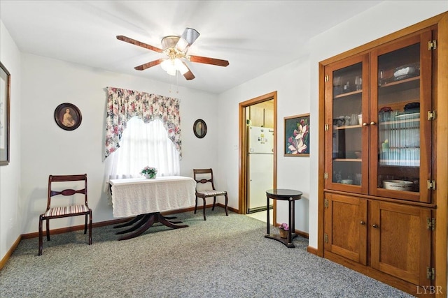 4317 Montgomery Rd, Lynchburg, VA 24503 - living area with carpet floors and ceiling fan