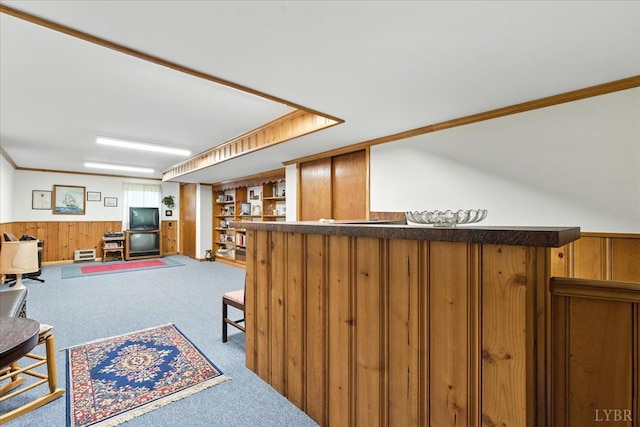 4317 Montgomery Rd, Lynchburg, VA 24503 - indoor dry bar featuring carpet flooring, wood walls, wainscoting, and crown molding