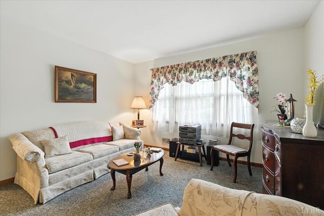 4317 Montgomery Rd, Lynchburg, VA 24503 - living room with carpet flooring and baseboards