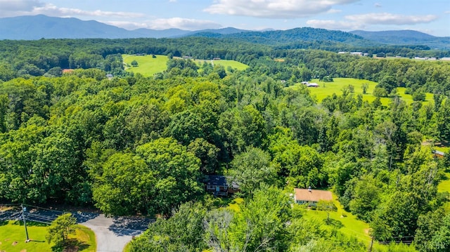 387 Stage Rd, Amherst, VA 24521 - bird's eye view of mountains