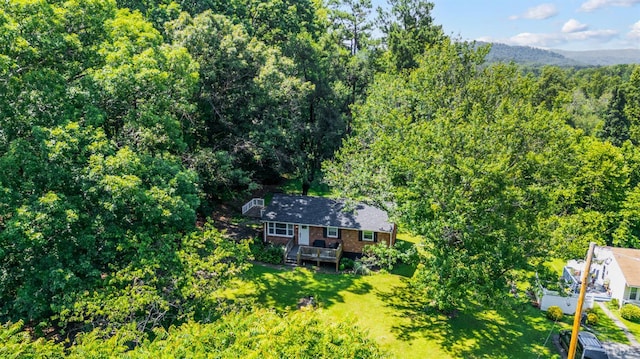 387 Stage Rd, Amherst, VA 24521 - view of subject property with a forest