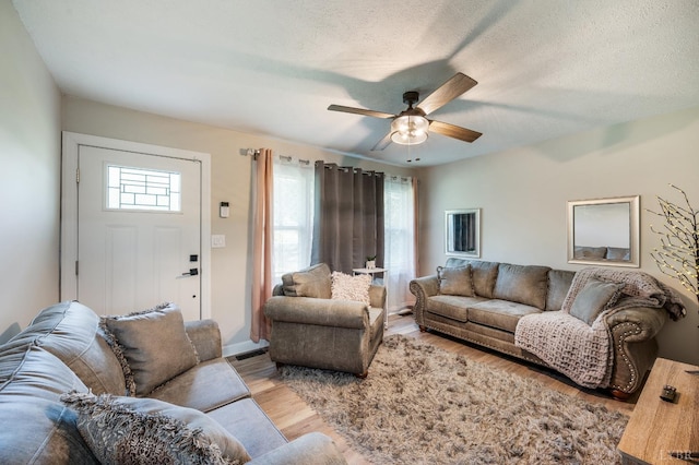 387 Stage Rd, Amherst, VA 24521 - living room with ceiling fan and light wood-type flooring