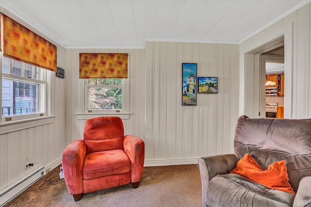 519 Belvedere St, Lynchburg, VA 24503 - living area featuring ornamental molding, a baseboard heating unit, carpet, and wooden walls