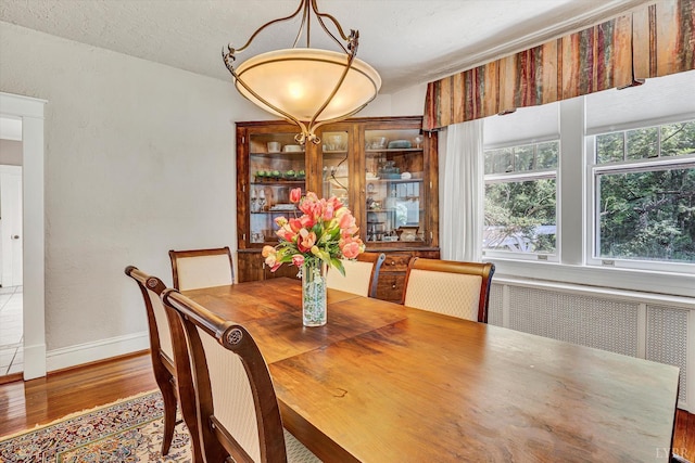 519 Belvedere St, Lynchburg, VA 24503 - dining space featuring radiator and wood finished floors
