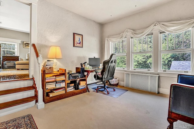 519 Belvedere St, Lynchburg, VA 24503 - home office with radiator heating unit and carpet flooring