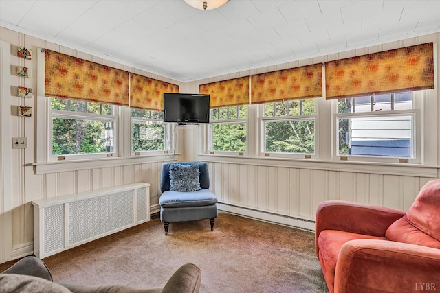 519 Belvedere St, Lynchburg, VA 24503 - sunroom featuring radiator heating unit and a baseboard radiator