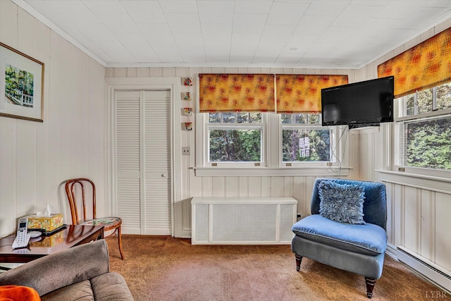 519 Belvedere St, Lynchburg, VA 24503 - sitting room featuring radiator heating unit, a baseboard heating unit, ornamental molding, and carpet