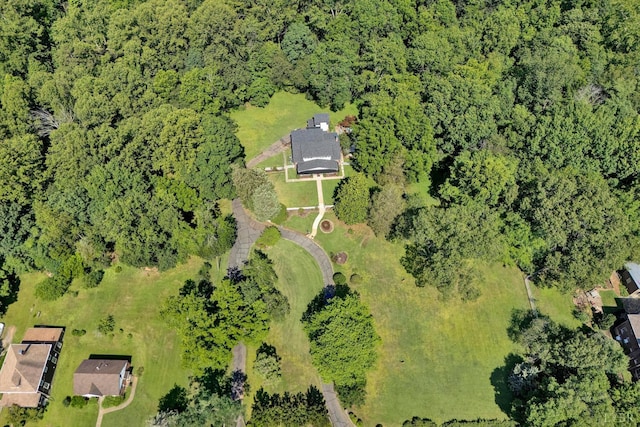 519 Belvedere St, Lynchburg, VA 24503 - view of property location featuring a forest