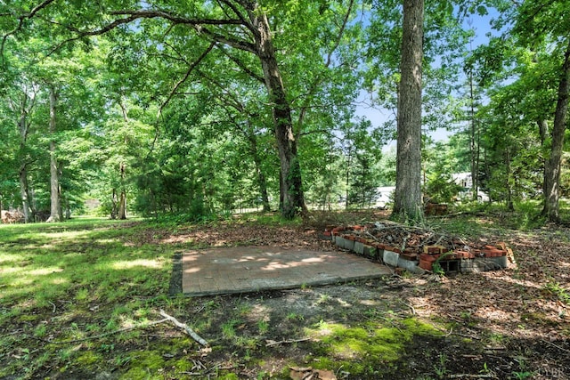 17087 Richmond Hwy, Pamplin, VA 23958 - photo 33