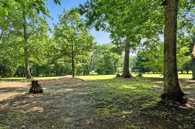 17087 Richmond Hwy, Pamplin, VA 23958 - photo 32