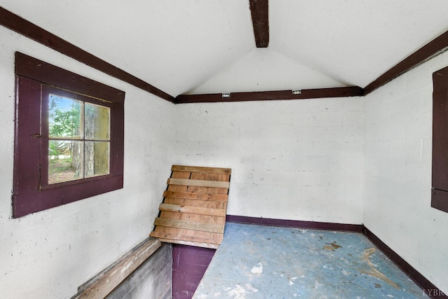 17087 Richmond Hwy, Pamplin, VA 23958 - photo 35