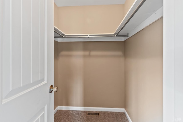 202 Bonterra Pl, Lynchburg, VA 24501 - walk in closet with carpet