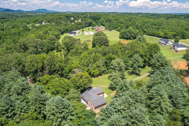 1655 Wingfield Dr, Goode, VA 24556 - photo 53