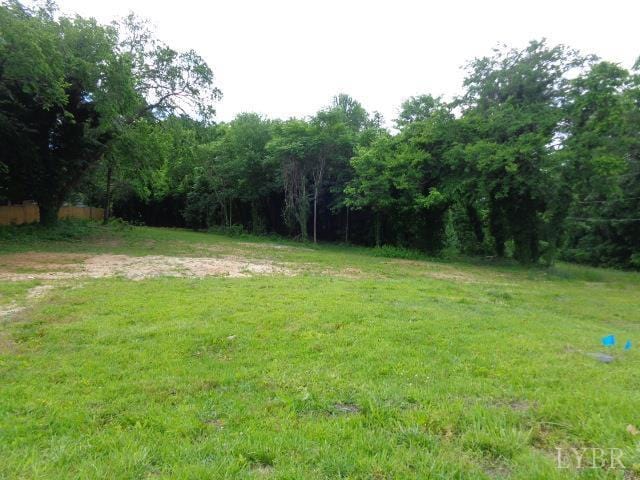 203 Cook Ave, Brookneal, VA 24528 - photo 2