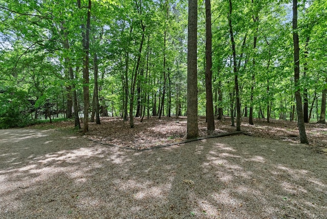 101 Oakmont, Lynchburg, VA 24503 - photo 71