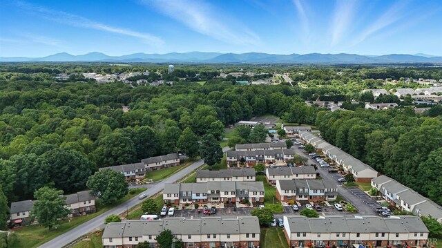 36 Cape Charles, Lynchburg, VA 24502 - photo 42