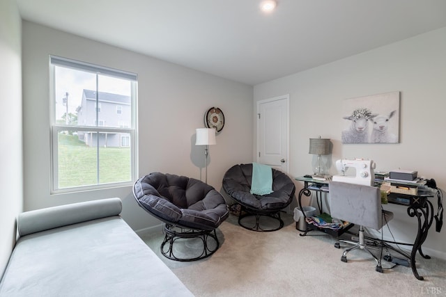 114 Robinia Rd, Lynchburg, VA 24501 - photo 23