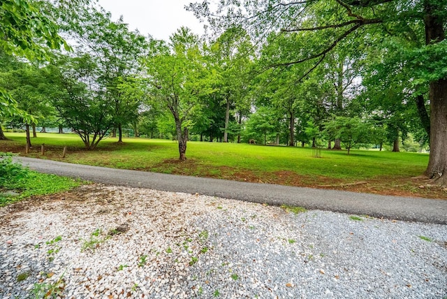 2212 Rivermont Ave, Lynchburg, VA 24503 - view of home's community featuring a yard and view of scattered trees