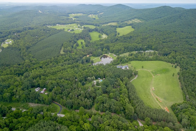 1059 Campbell Hwy, Rustburg, VA 24588 - photo 67