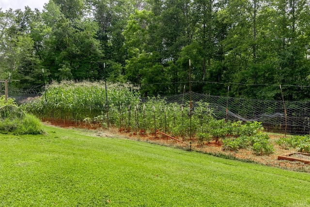 1059 Campbell Hwy, Rustburg, VA 24588 - photo 48
