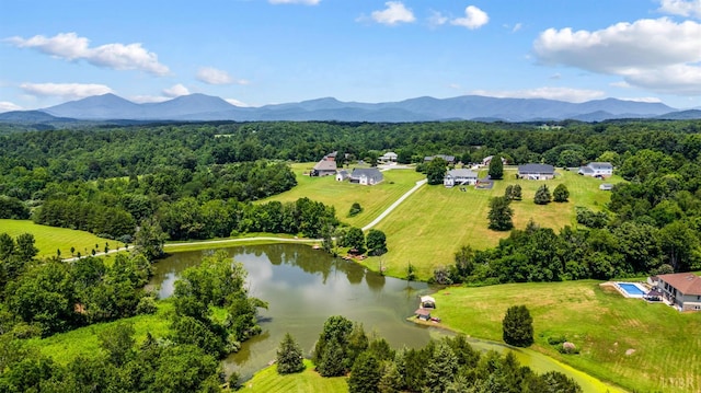 316 Longhill Rd, Goode, VA 24556 - photo 3