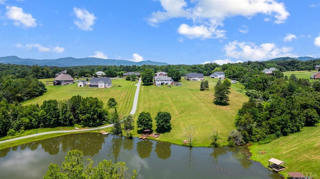 316 Longhill Rd, Goode, VA 24556 - photo 60