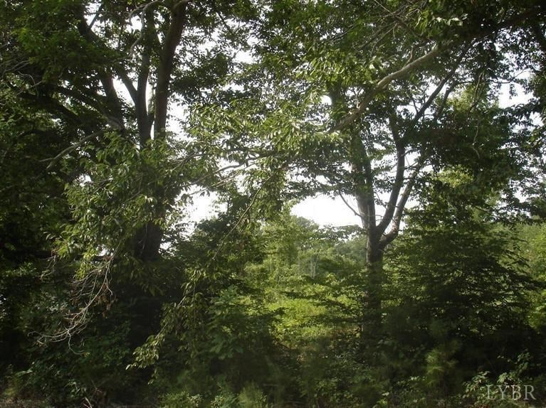 0 Lowesville Rd, Piney River, VA 22964