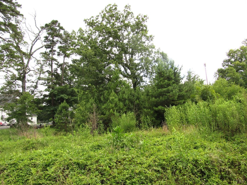 0 Lowesville Rd, Piney River, VA 22964